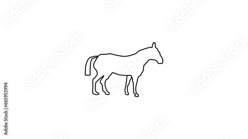 horse silhouette isolated on white
