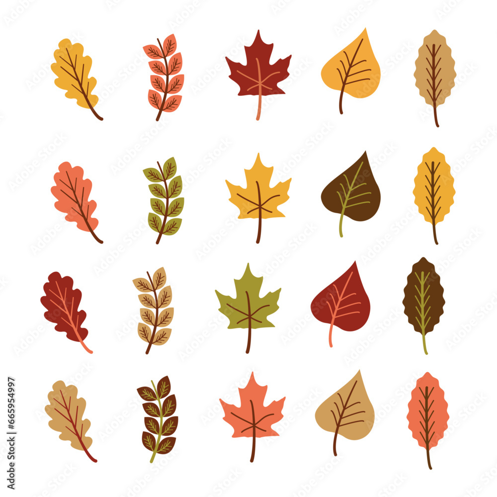 Autumn leaves. Colorful floral collection.  Seamless pattern autumn leaves. Thanksgiving