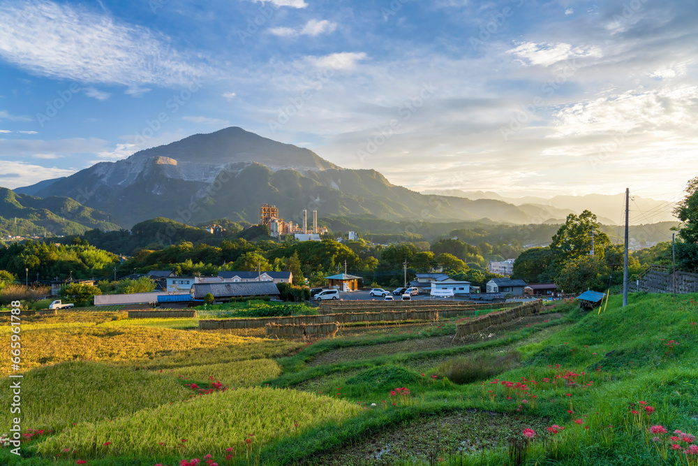 custom made wallpaper toronto digital埼玉県秩父郡 秋の寺坂棚田と武甲山