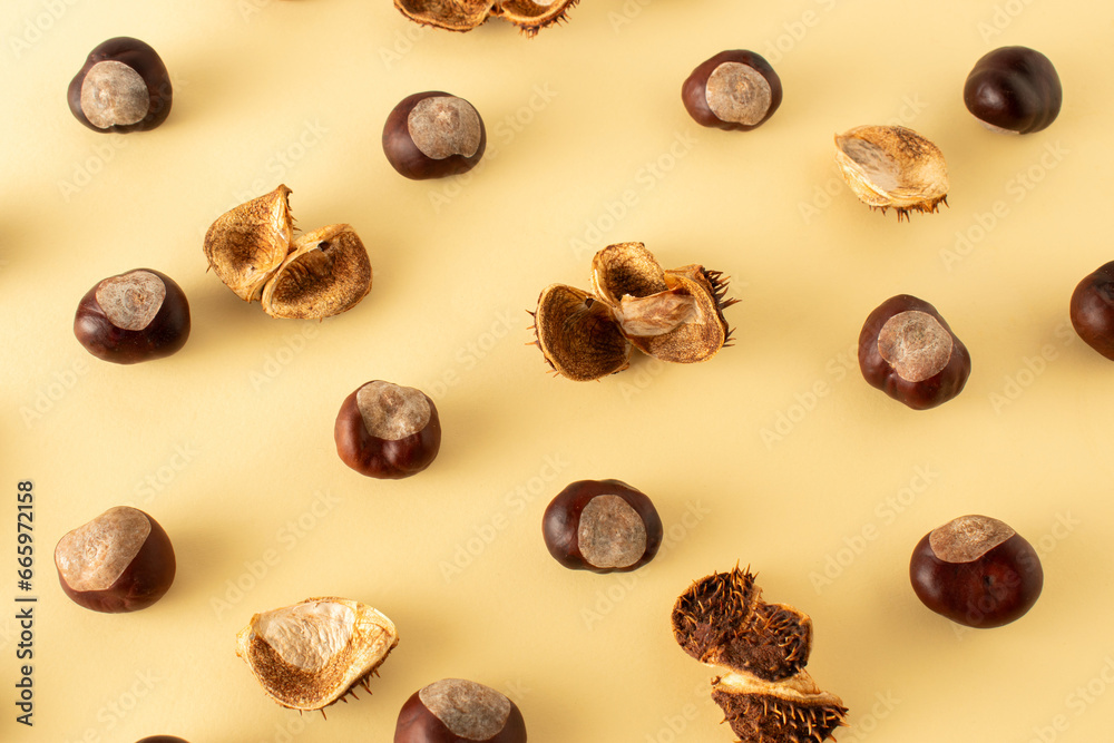 Dried horse chestnuts on a pastel background. Autumn nature flat lay concept. Dried horse chestnuts on a pastel background. Autumn nature flat lay concept.