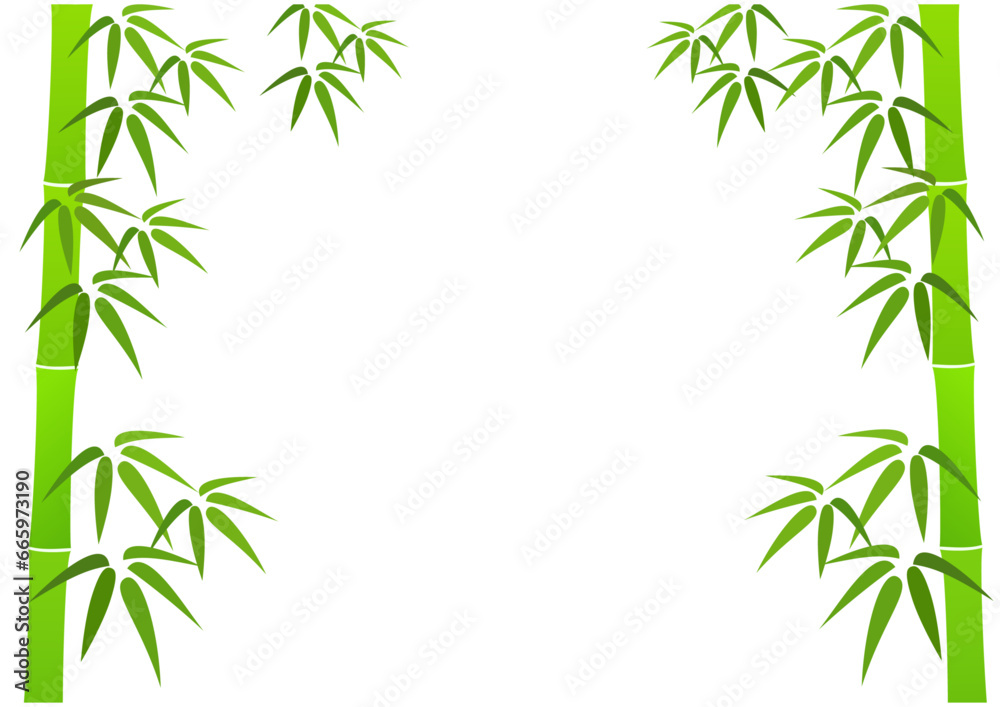 Fresh green bamboo forest frame Fresh green bamboo forest frame