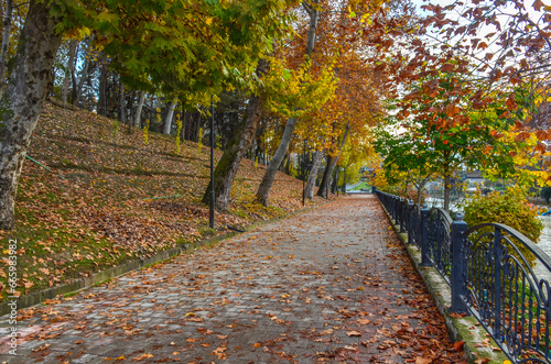 leaves on Ankhor canal embankment in autumn (Tashkent, Uzbekistan)