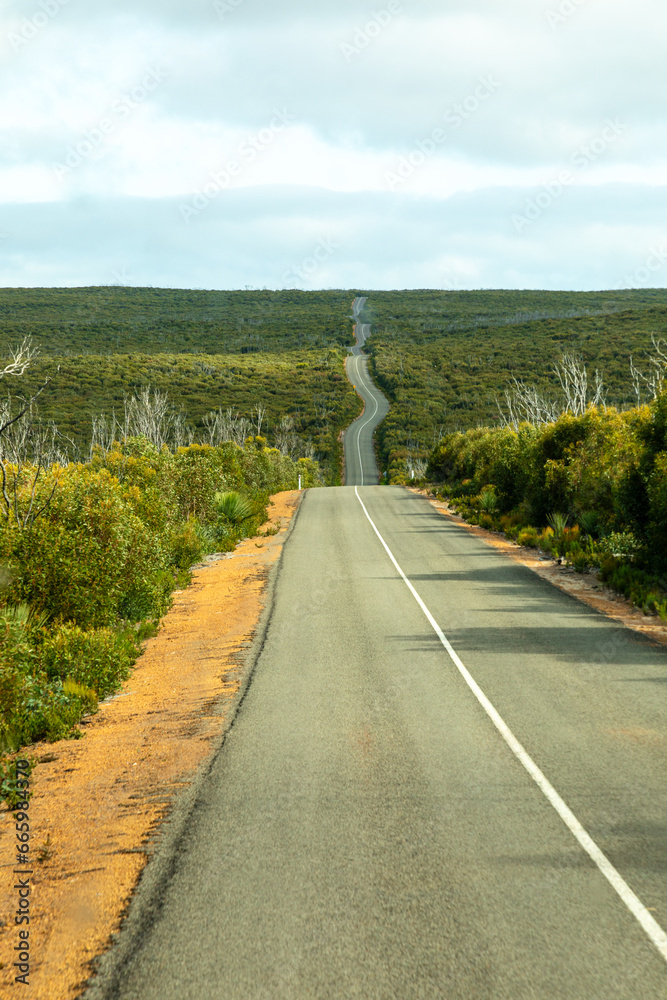 Fototapeta premium Australian road with iconic Kangaroo crossing signal.