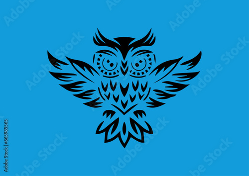 vector colorful owl, bird, animal drawing designs