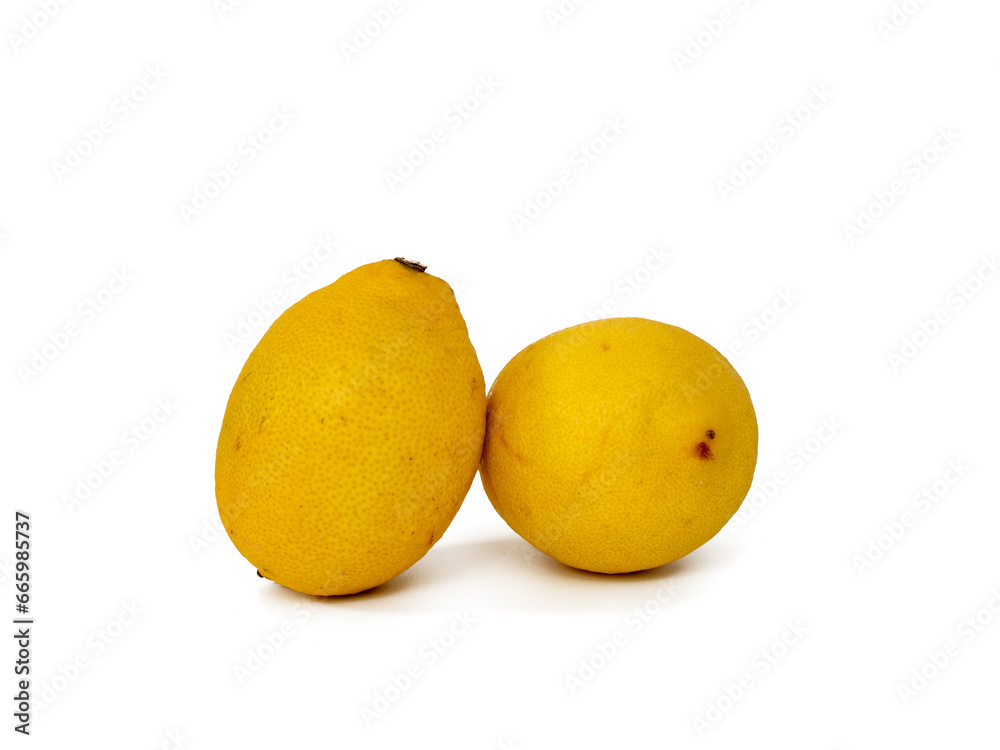 Fresh lemons on a white background. Lemon fruit close-up. Fresh lemons on a white background. Lemon fruit close-up.