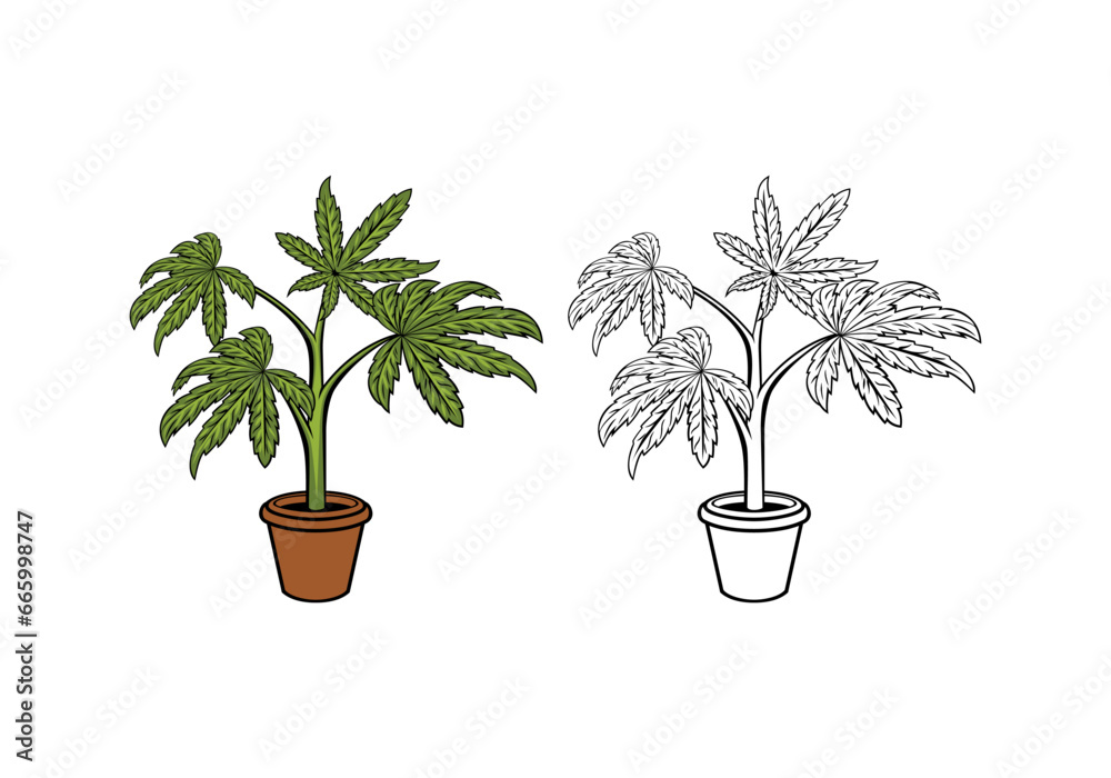 Fototapeta premium Cannabis Tree Illustration vector eps format , suitable for your design needs, logo, illustration, animation, etc.