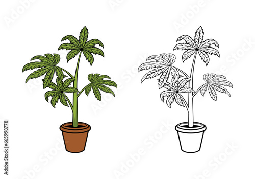 Cannabis Tree Illustration vector eps format , suitable for your design needs, logo, illustration, animation, etc. photo