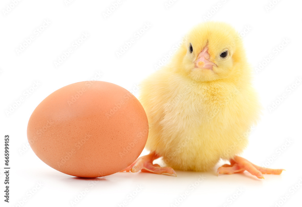 Chicken and egg. Chicken and egg.