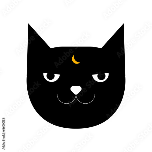 Angry black magic cat with halfmoon