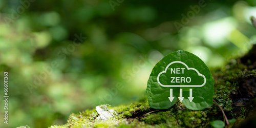 Fotografie Net zero and carbon neutral concept