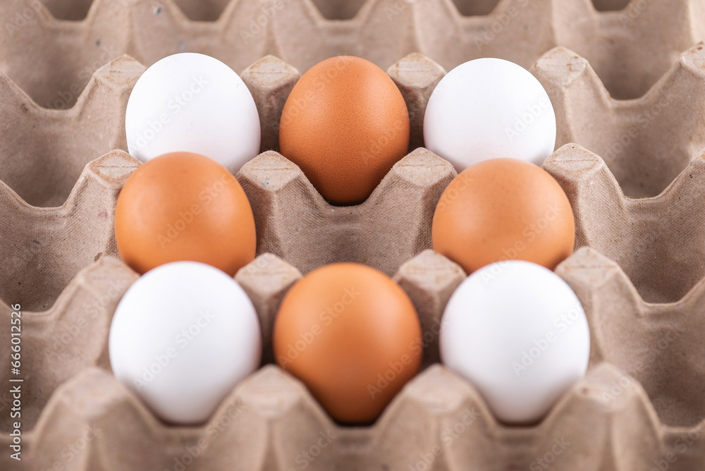 Egg box, stock photo, empty egg carton, close up of eggs. A brown egg among white egg Egg box, stock photo, empty egg carton, close up of eggs. A brown egg among white egg