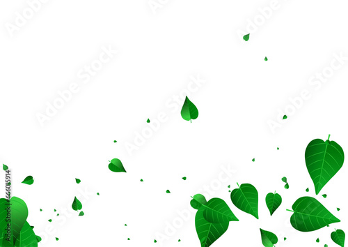 Forest Foliage Ecology Vector White Background