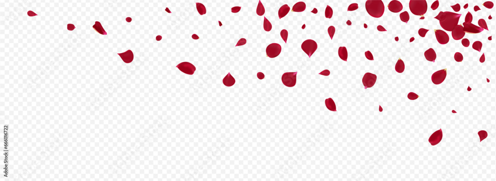 Red Lotus Fall Vector Panoramic Transparent Red Lotus Fall Vector Panoramic Transparent