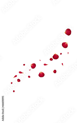 Red Flower Falling Vector White Background. Fall
