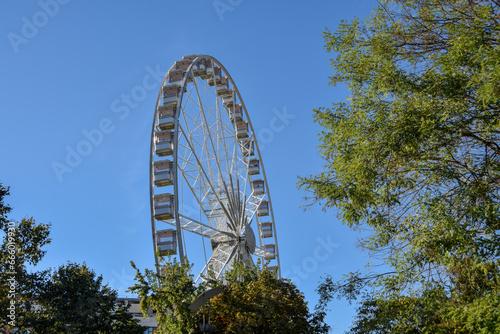 ferris wheel at the park © dodorottya