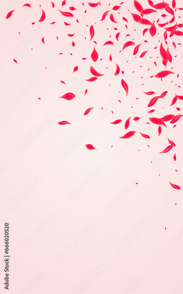 Scarlet Peach Vector Pink Background. Blur Rose Scarlet Peach Vector Pink Background. Blur Rose