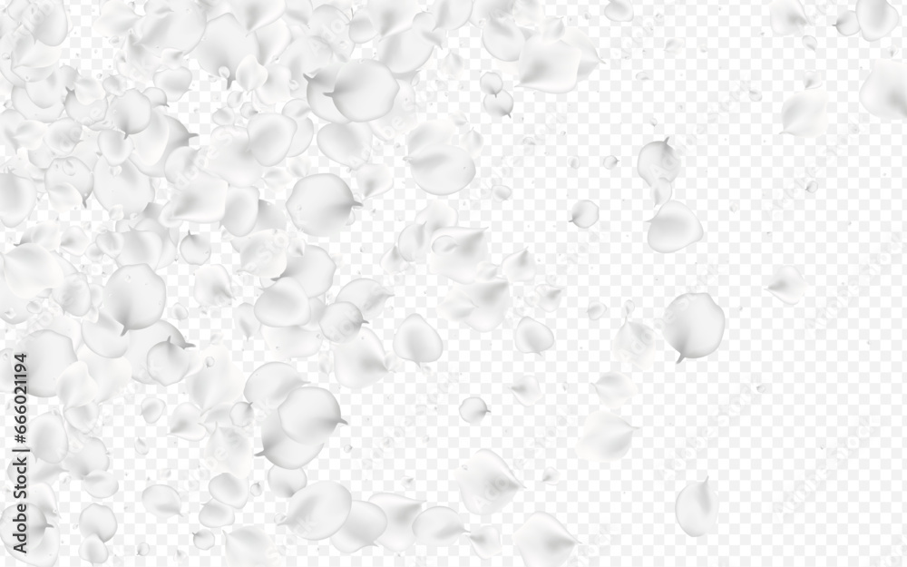 Delicate Blossom Vector Transparent Background. Delicate Blossom Vector Transparent Background.