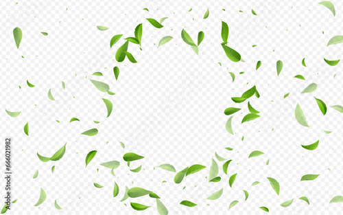 Olive Greens Ecology Vector Transparent