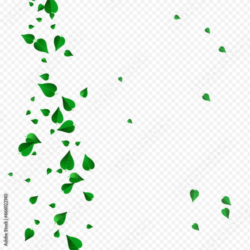 Olive Greens Falling Vector Transparent