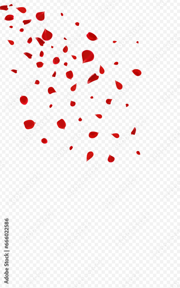 Red Petal Fly Vector Transparent Background.