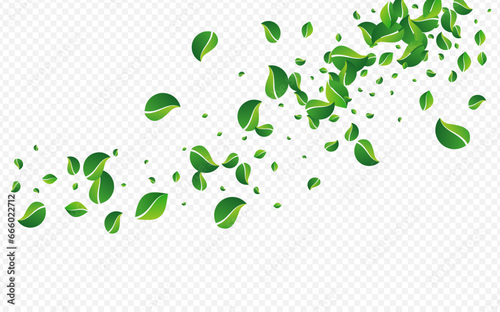 Swamp Leaves Swirl Vector Transparent Background.