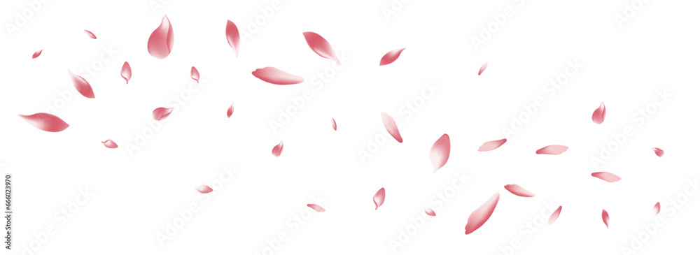 Pastel Peach Petal Vector White Background. Pink Pastel Peach Petal Vector White Background. Pink