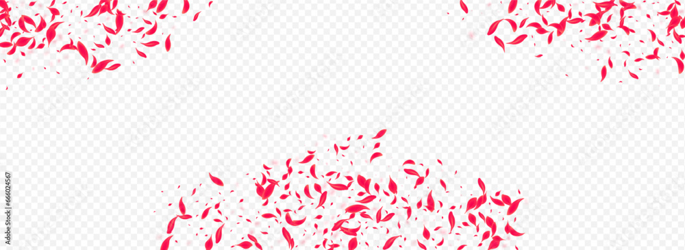 Beautiful Lotus Vector Transparent Panoramic Beautiful Lotus Vector Transparent Panoramic