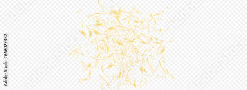 Yellow Rose Flying Vector Panoramic Transparent