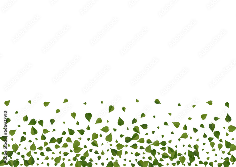 Olive Leaf Nature Vector White Background Banner. Olive Leaf Nature Vector White Background Banner.