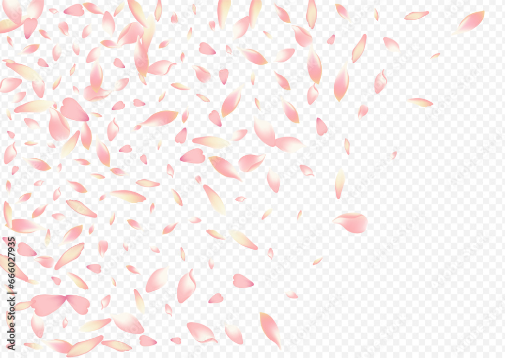 Red Cherry Vector Transparent Background. Blossom Red Cherry Vector Transparent Background. Blossom