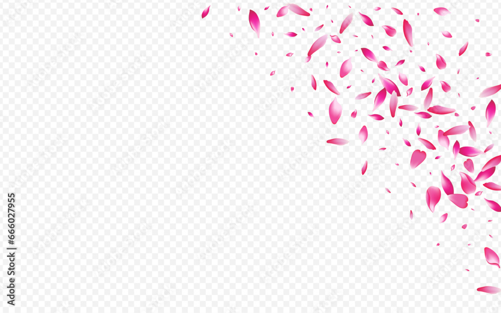Red Cherry Vector Transparent Background. Lotus Red Cherry Vector Transparent Background. Lotus