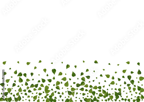 Olive Leaf Nature Vector White Background Banner.