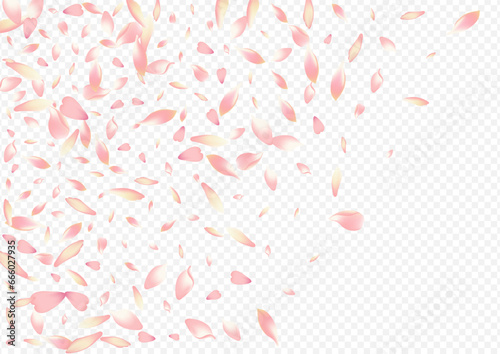 Red Cherry Vector Transparent Background. Blossom