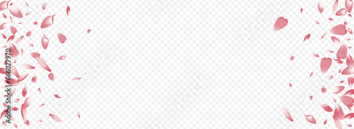 Color Flower Vector Panoramic Transparent