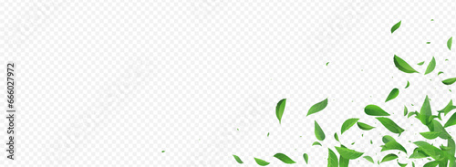 Forest Foliage Ecology Vector Panoramic