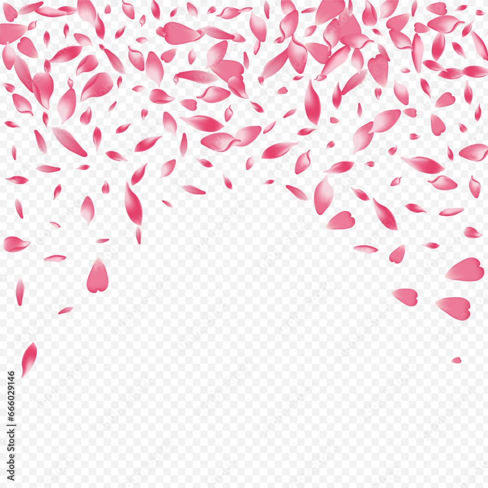 Obraz premium White Tree Vector Transparent Background. Flower