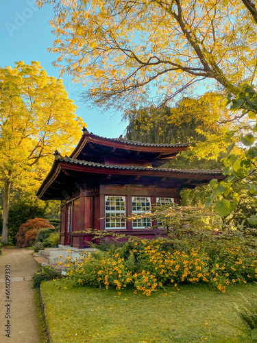 japanese garden in autumn