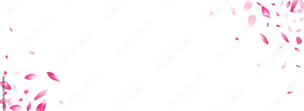 Transparent Flower Petal Vector Panoramic Transparent Flower Petal Vector Panoramic