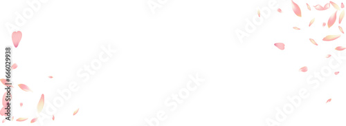 Color Cherry Petal Vector Panoramic Background.