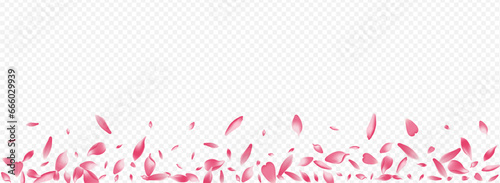 Light Tree Vector Panoramic Transparent