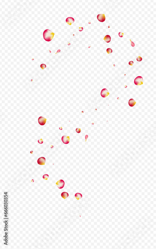 Pink Rose Flying Vector Transparent Background.