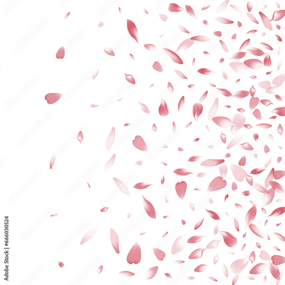 White Flower Petal Vector White Background. Pink