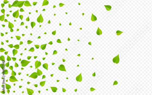 Olive Greens Spring Vector Transparent Background