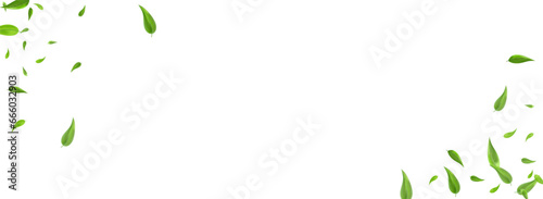 Grassy Foliage Abstract Vector Panoramic White