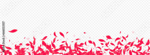 Pink Blossom Vector Transparent Panoramic