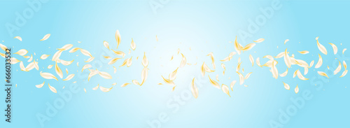 Gold Rose Fly Vector Panoramic Blue Background.