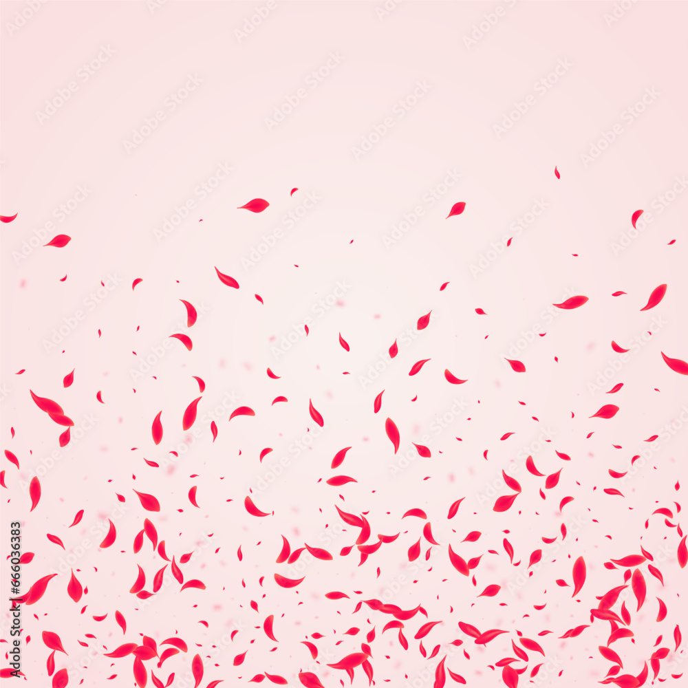 Obraz premium Ruby Rose Vector Pink Background. Japanese Lotus