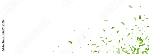 Swamp Leaf Blur Vector Panoramic White Background