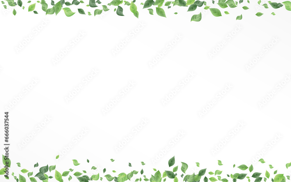 Lime Leaf Motion Vector White Background Banner.