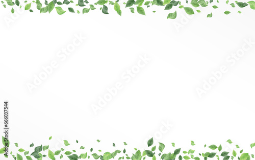 Lime Leaf Motion Vector White Background Banner.